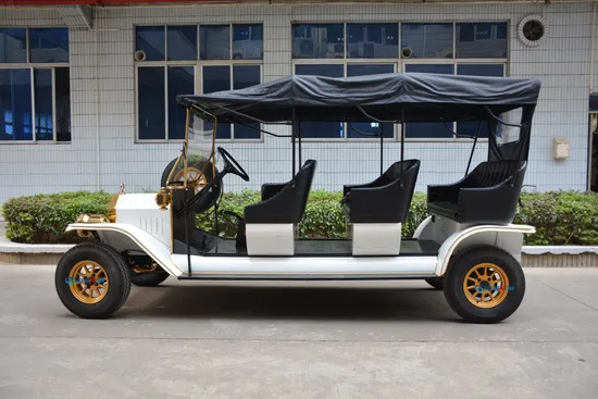 New Classic Style Unique Classic Car Multi-Wheeled Tour Car Adult Electric Vehicle